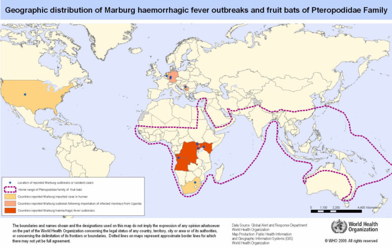 Marburg Virus Transmission Disease Symptoms Diagnosis Treatment