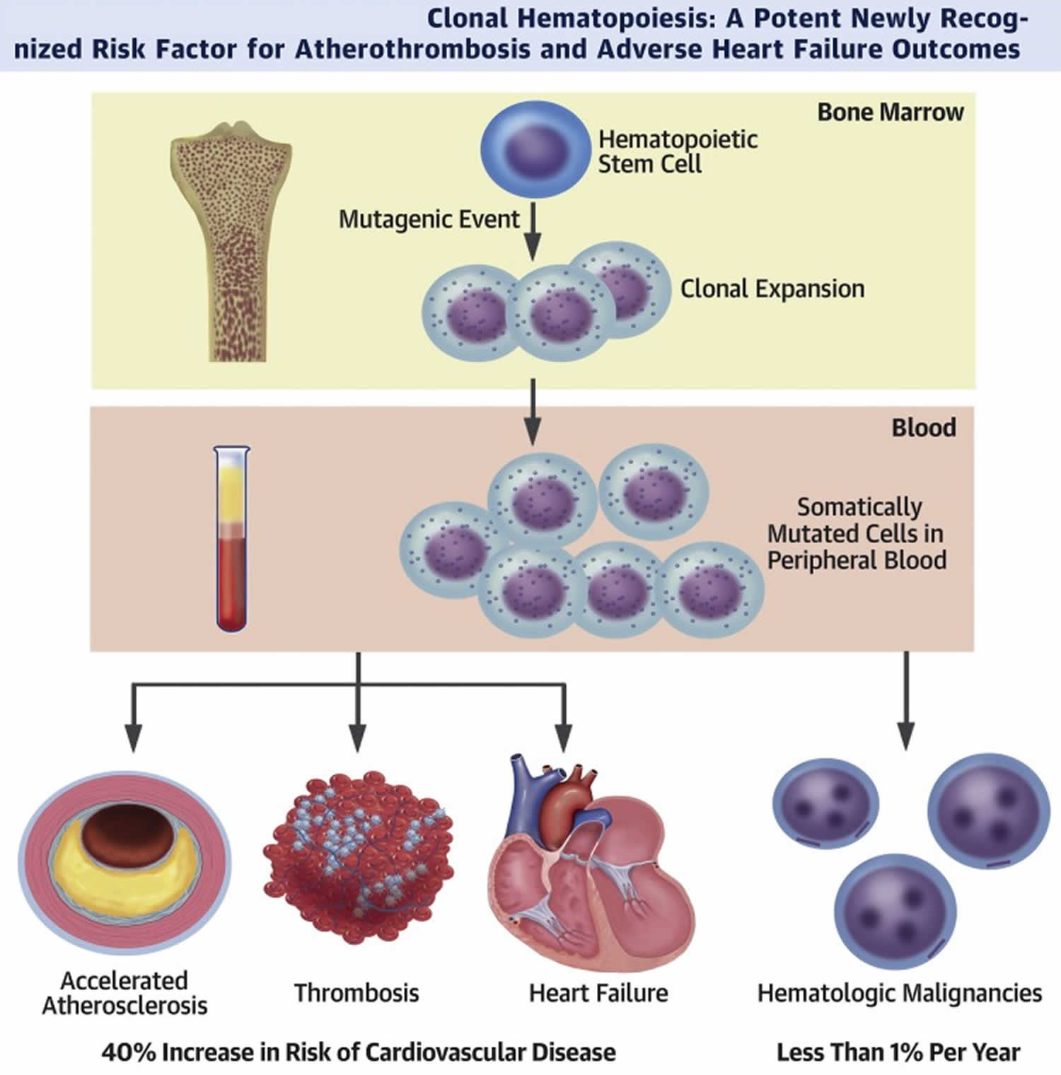 Diagnostic Approach Clinical Implications And Management Off