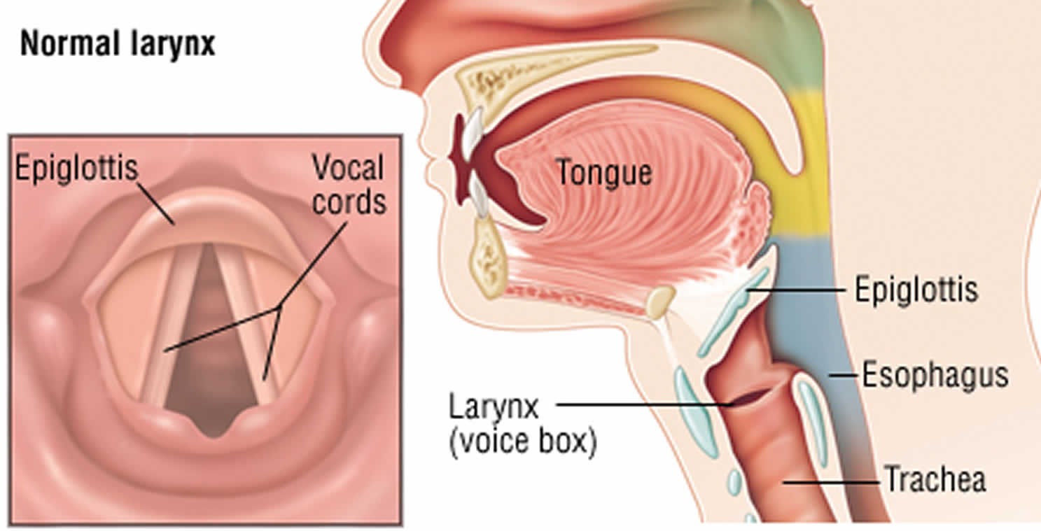 Vocal mature