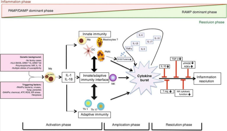 Adult Still S Disease Causes Symptoms Diagnosis Prognosis Treatment