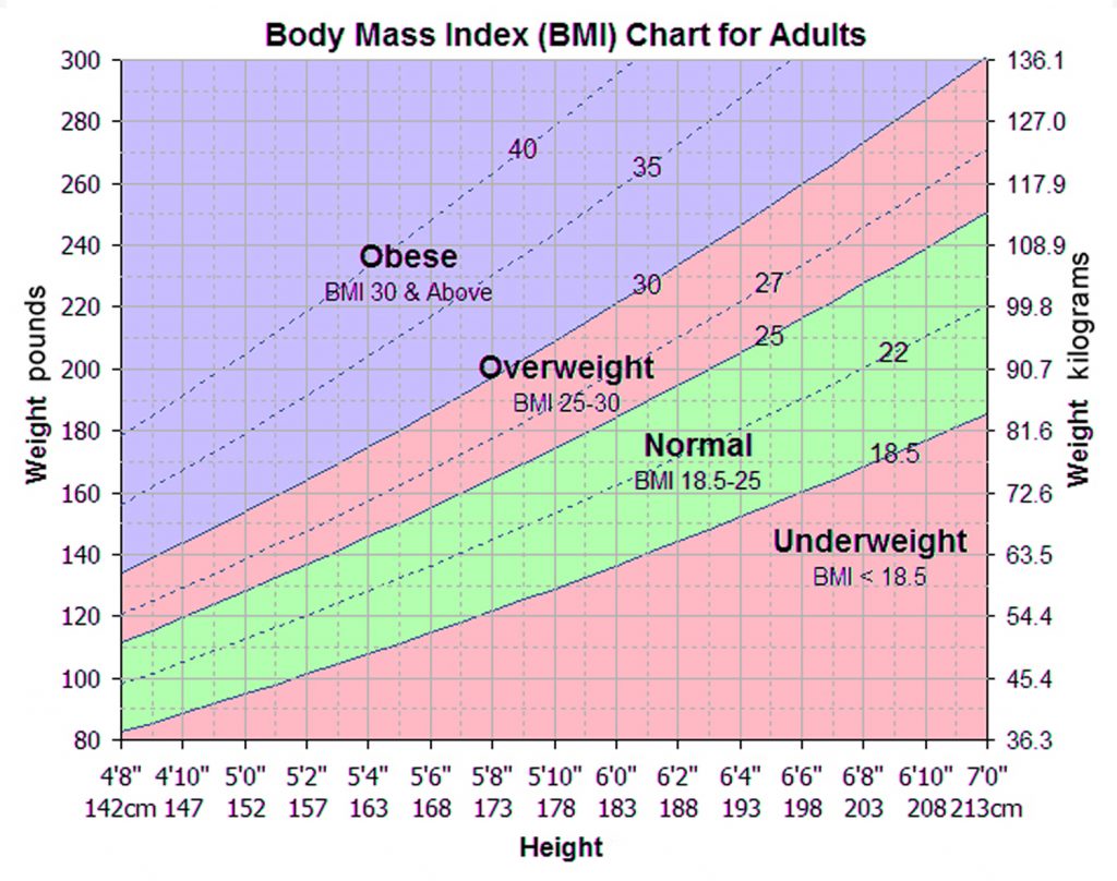 What Is Obesity - Causes, Statistics, Facts, Effects & Treatments