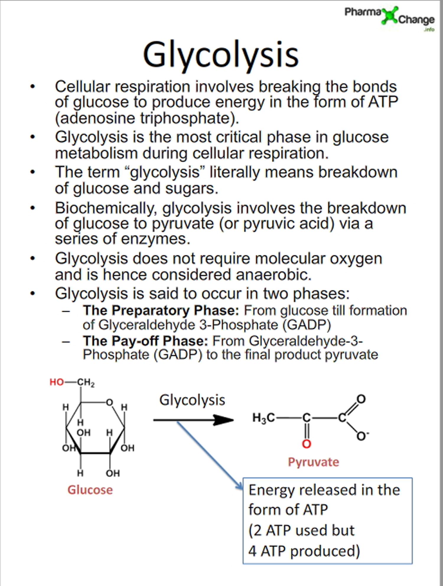 D d ускорение. Glucose metabolism. Glucose ATP metabolism. Glyceraldehyde 3- phosphate formed glucose. How is glucose produced?.