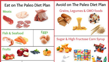 paleo diet foods