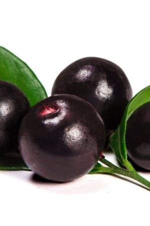 Acai Berries