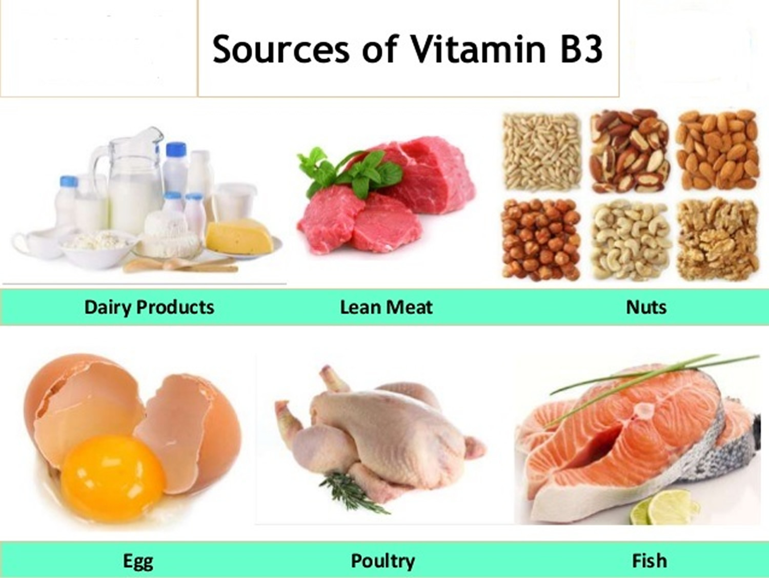 Natural Sources of Vitamin B-3 Niacin