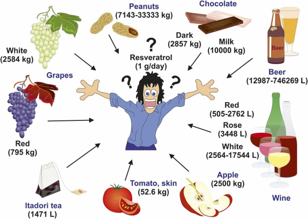 What is Resveratrol? Benefits for Weight Loss, AntiAging & Cancer