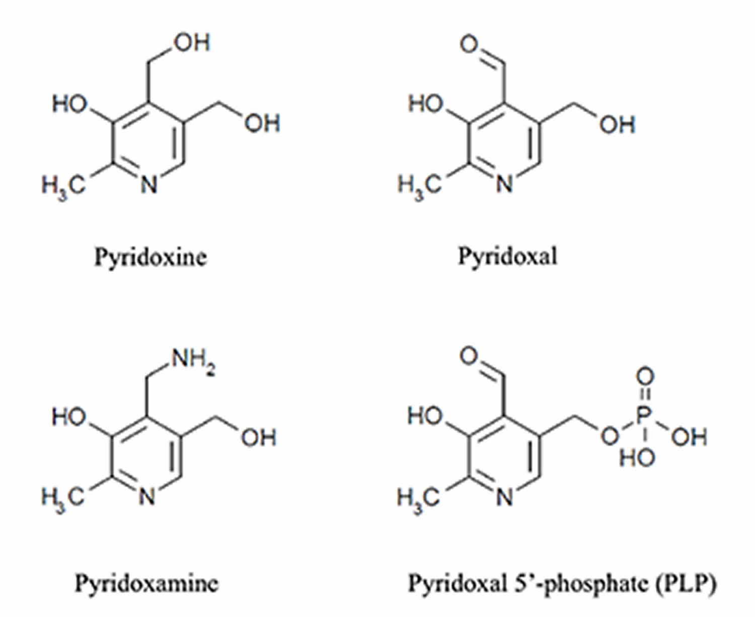 Vitamin B6 Chemical Structure