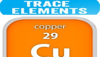 copper for weight loss