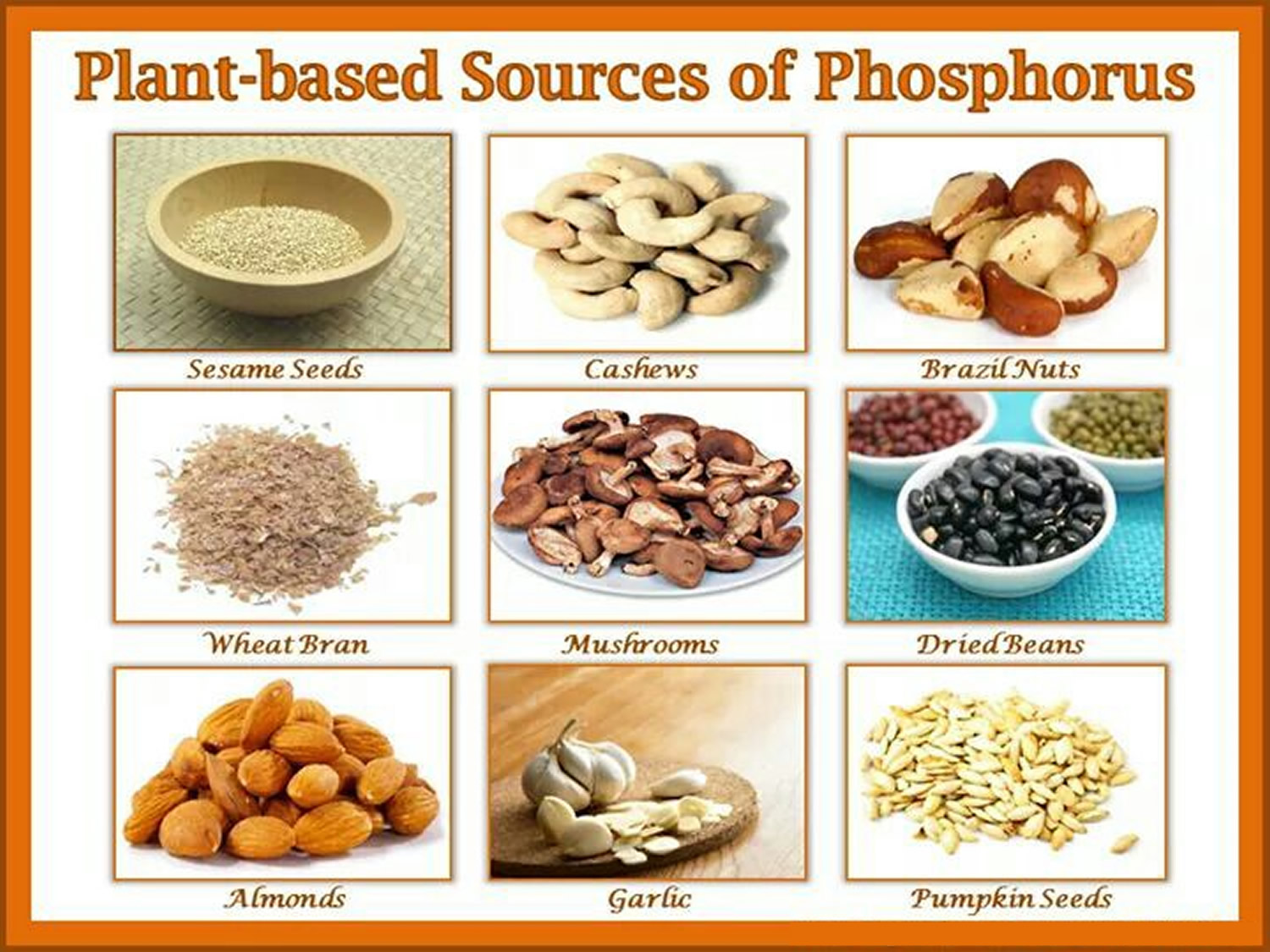 Co je phosphorus?