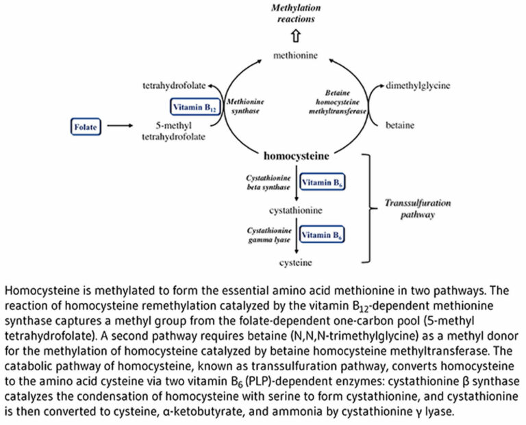 Vitamin B6 Foods, Supplements, Deficiency, Benefits, Side Effects