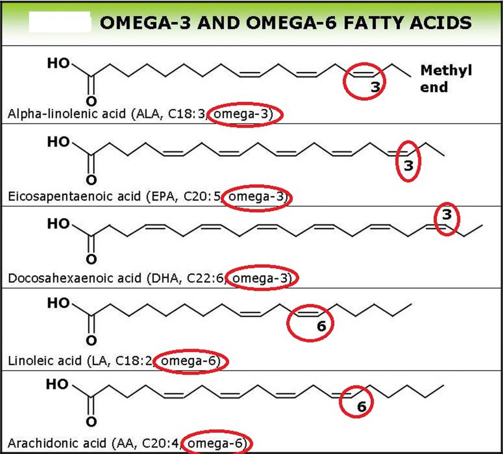 Oleic Acid Benefits And Oleic Acid Foods Sources