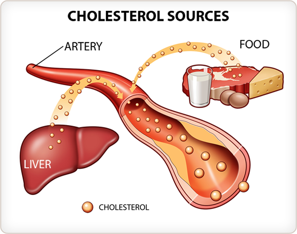 what-are-cholesterol-the-good-and-bad-cholesterol