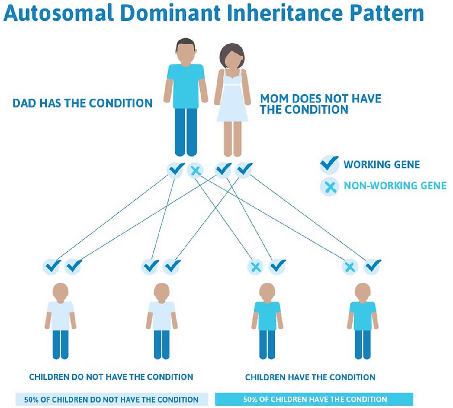 Autosomal dominant inheritance pattern