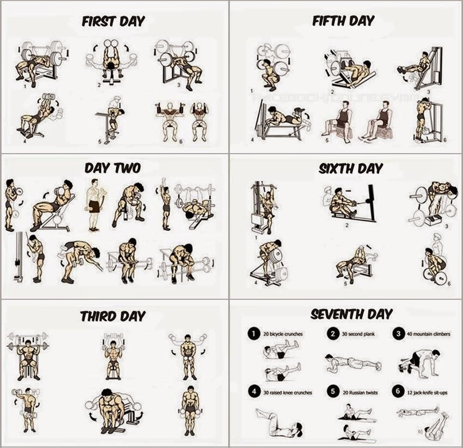 Muscle Building Workouts