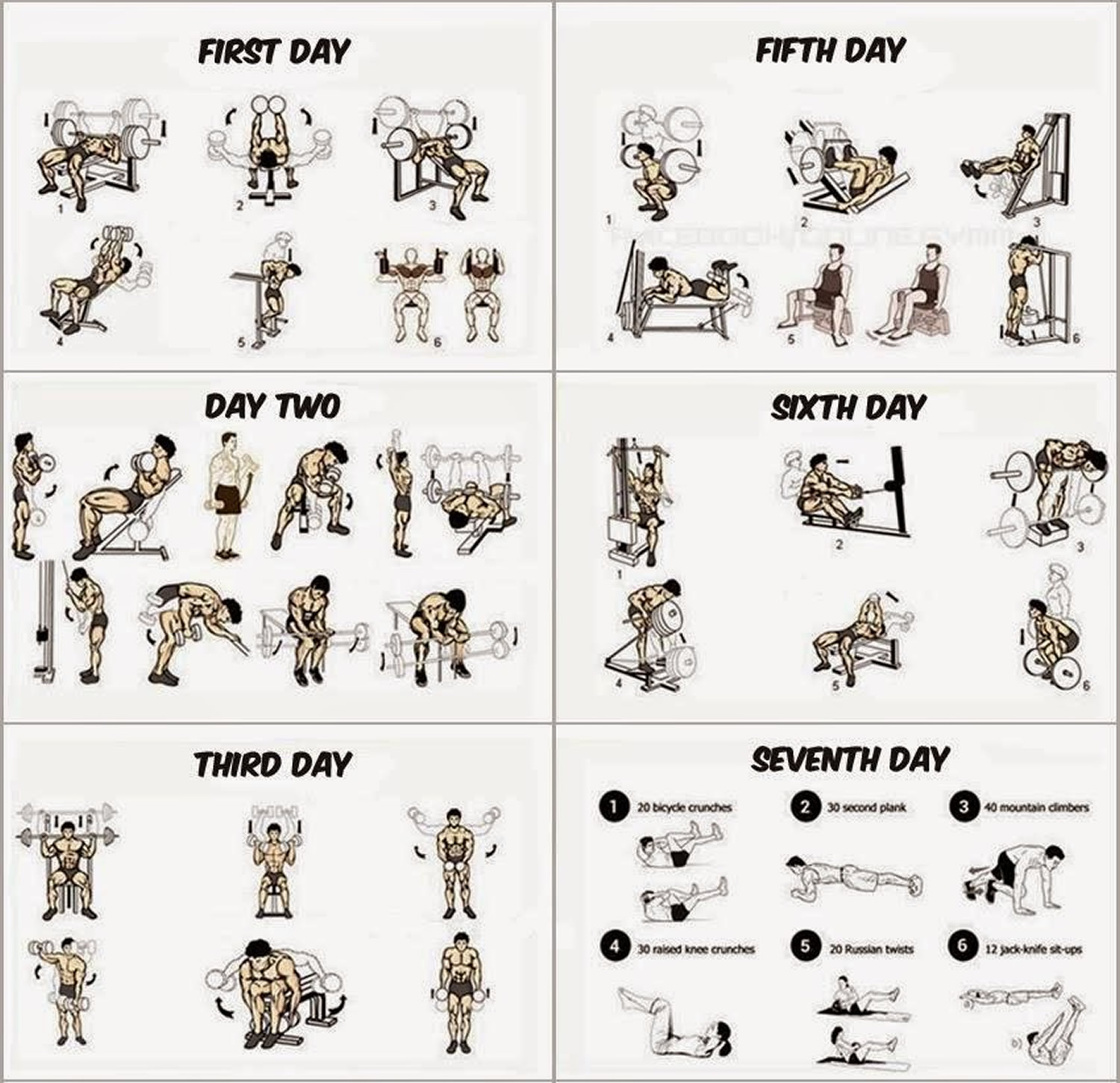 What Is The Best Workout Program For Muscle Building