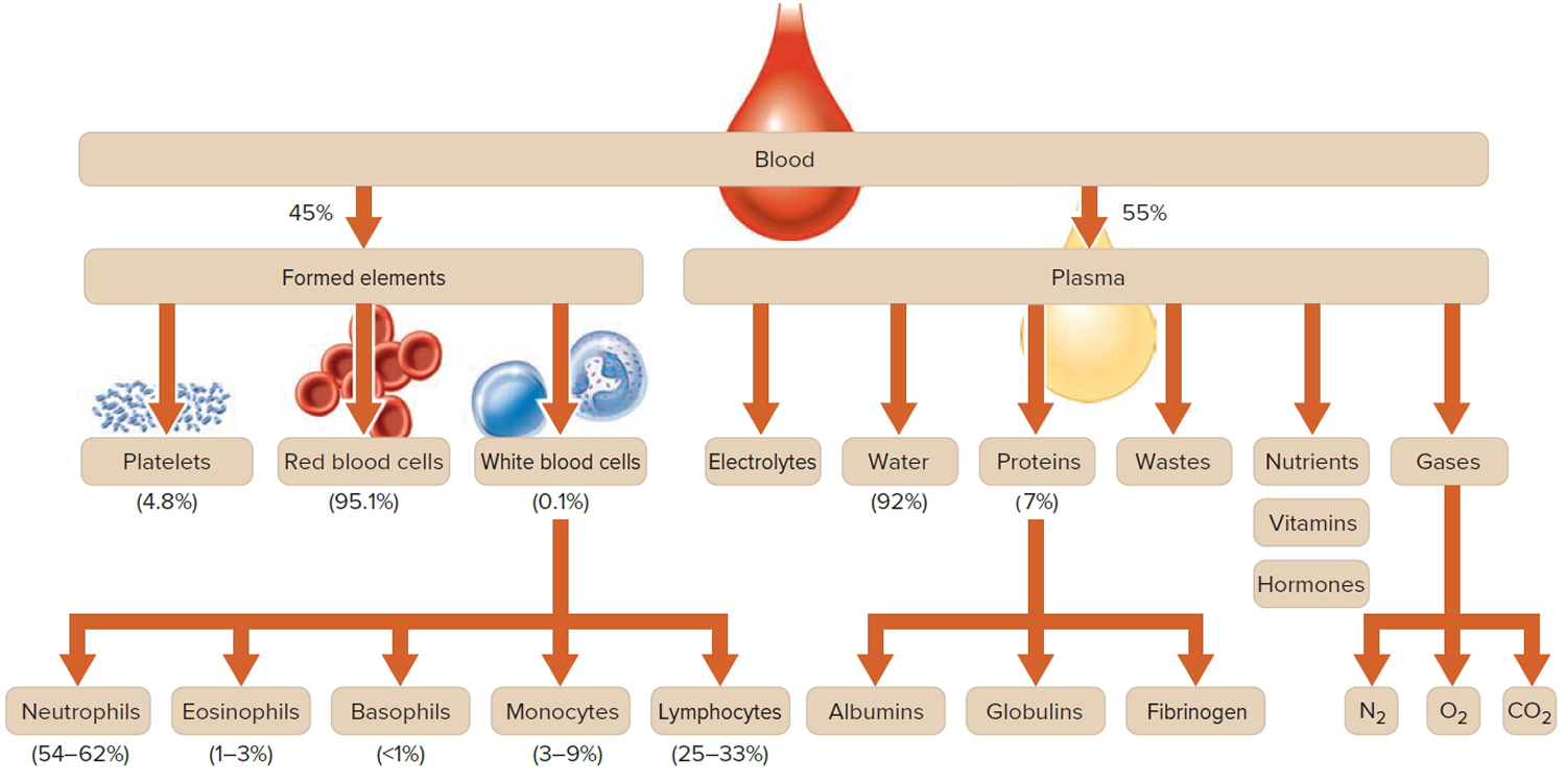 Hematocrit - Normal Range & Levels, Causes Of Low or High Hematocrit