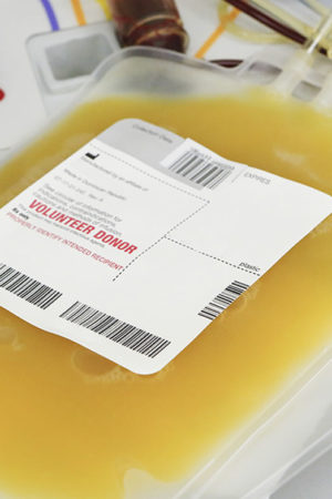 blood plasma
