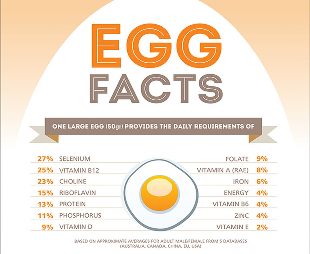 Do Eggs Cause High Cholesterol? Are Eggs Bad For Cholesterol?