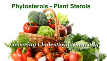 phytosterols foods