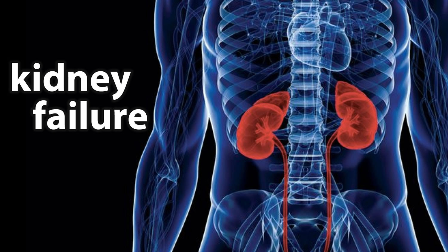 chronic kidney failure research papers