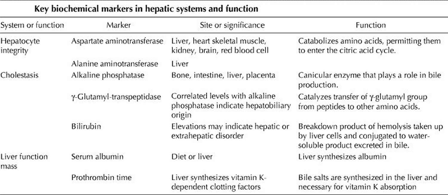 liver-enzymes-causes-of-elevated-or-high-liver-enzymes