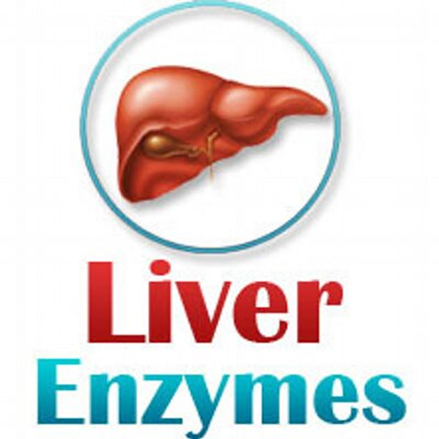 Liver Enzymes Causes Of Elevated Or High Liver Enzymes