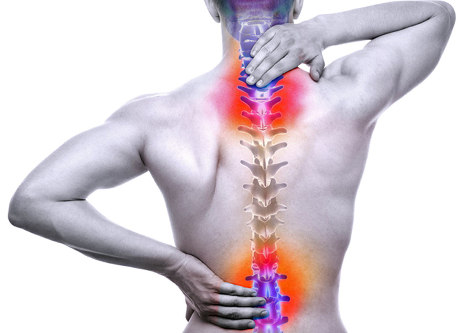 Is Spinal Cord Soft Tissue