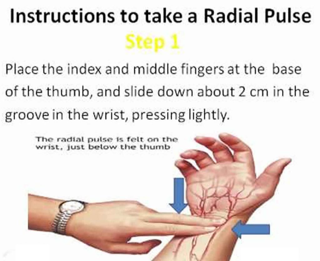 How To Check Pulse Manually