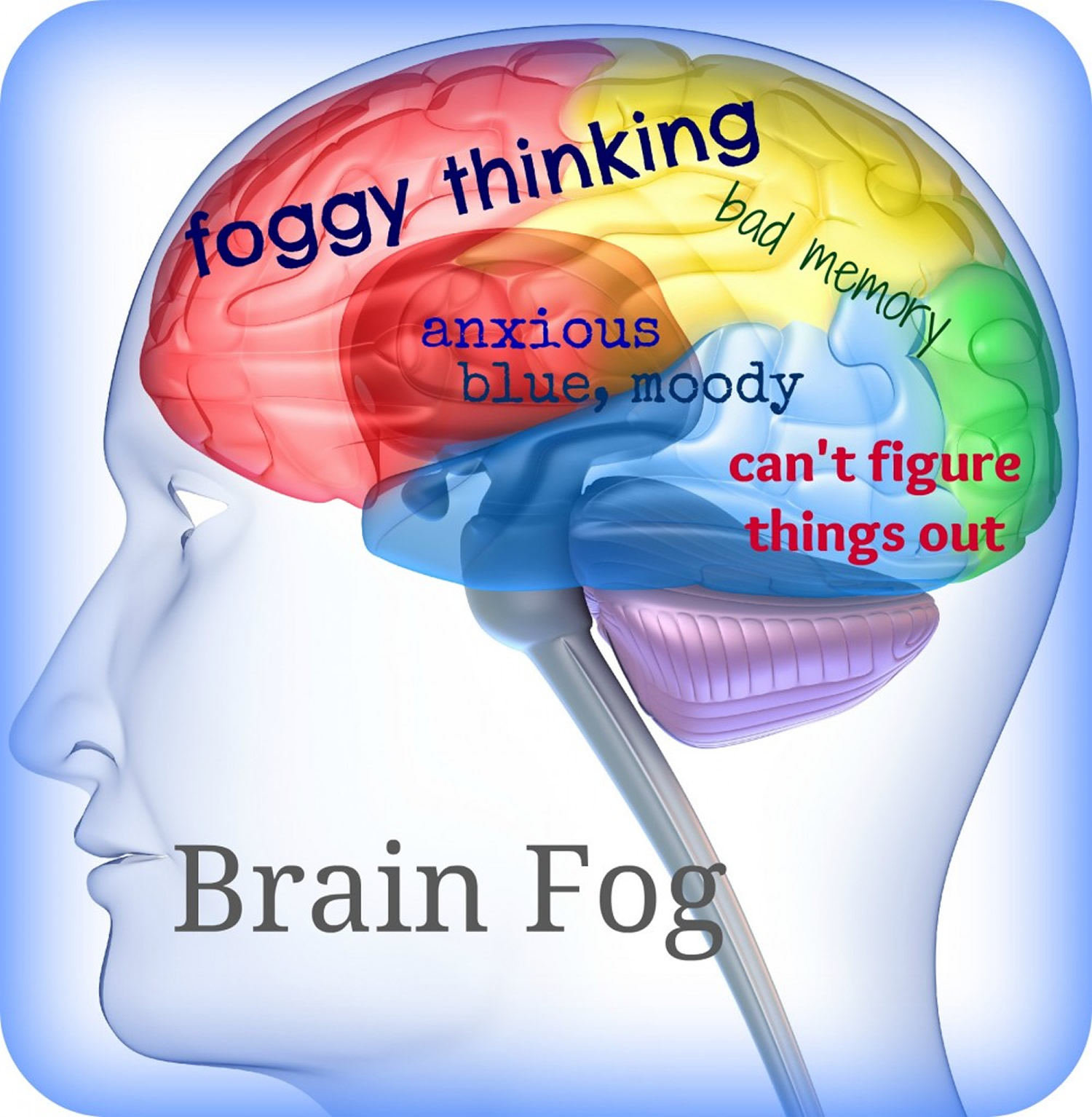 What Is The Cause Of Covid Brain Fog