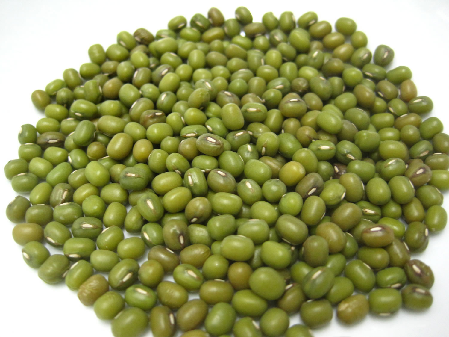 Mung Beans Sprouts Nutrition Calories Mung Beans Health Benefits