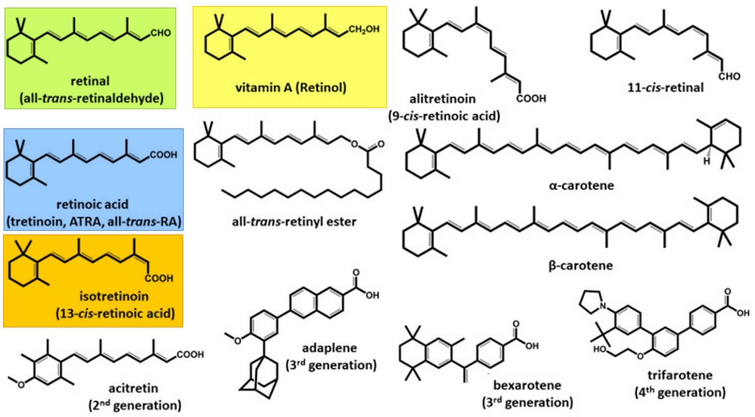 Vitamin A and retinoids structures