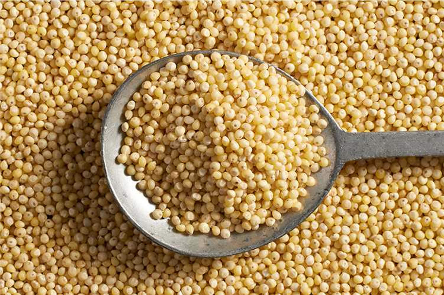 Is Millet Good For Cholesterol