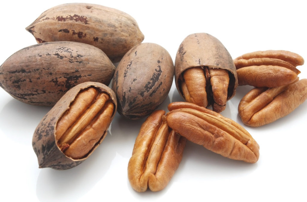 Pecan Pecan Nutrition Facts, Calories, Carbs Pecan Health Benefits