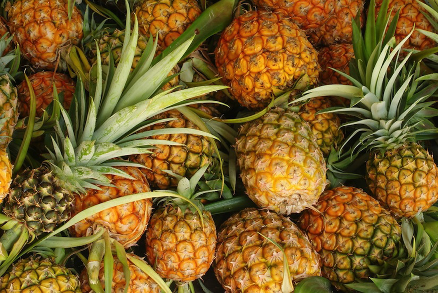 Pineapples Fresh