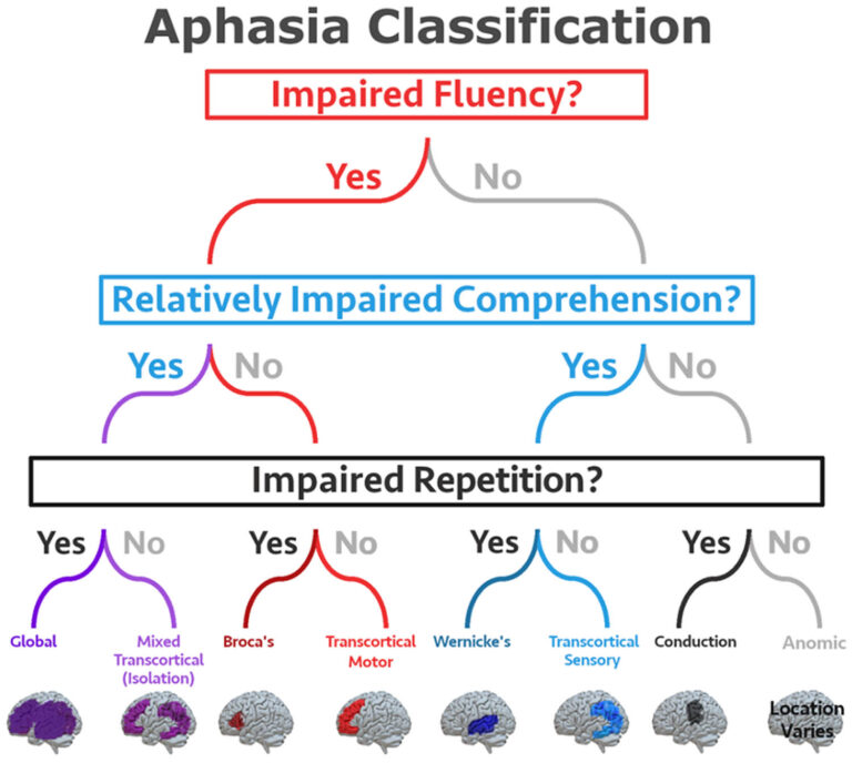 Aphasia Types, Causes, Symptoms, Diagnosis, Treatment