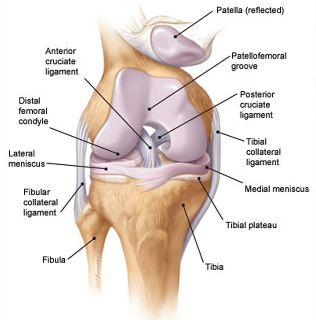 Joint Effusion Knee Joint Effusion Causes Diagnosis