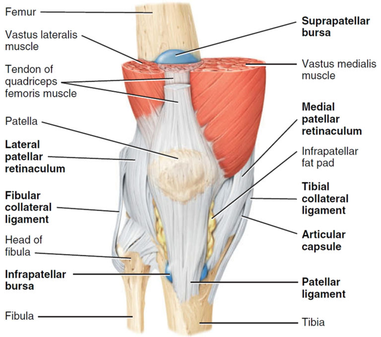 Meniscal cyst & parameniscal cyst causes, symptoms, diagnosis & treatment