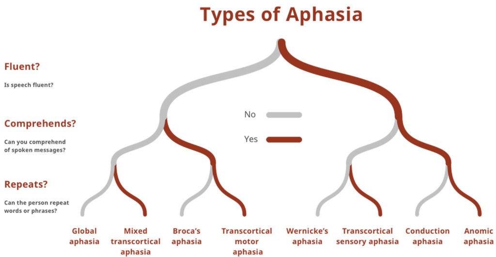 Aphasia Types, Causes, Symptoms, Diagnosis, Treatment