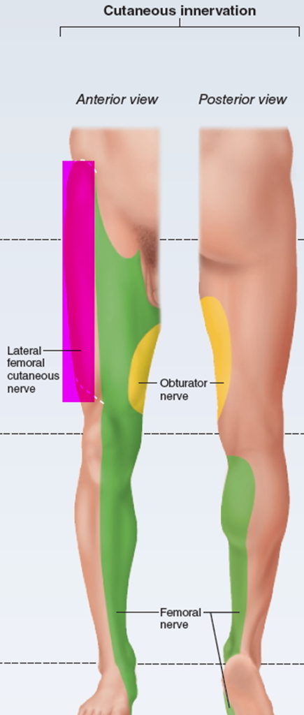 Upper thigh numbness in front image