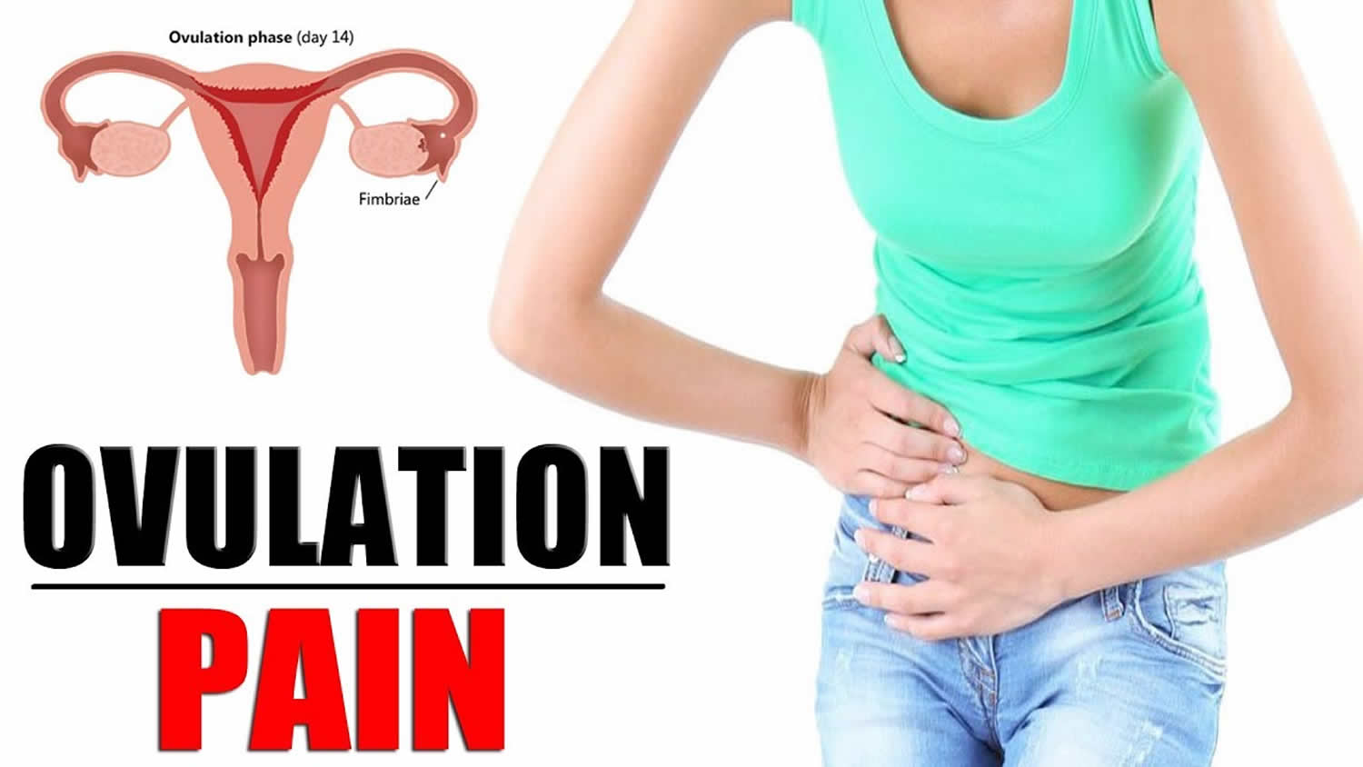 When do Ovulation Symptoms Start in a Woman? - Raadina Health