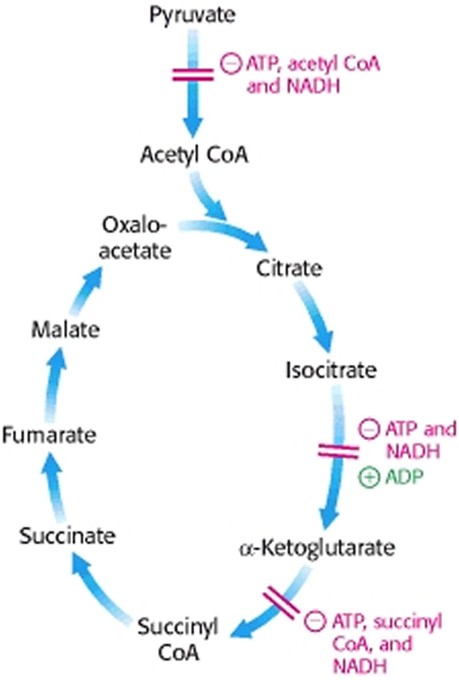 citric-acid-citric-acid-in-food-uses-is-citric-acid-bad-for-you