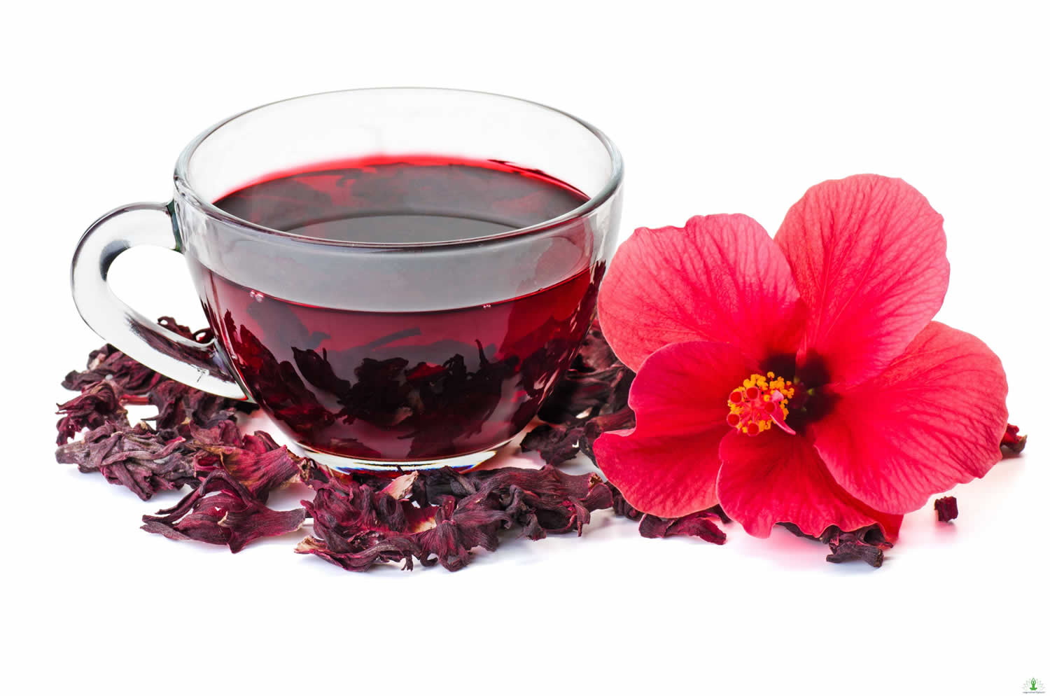 Hibiscus Tea Uses For Blood Pressure Blood Cholesterol