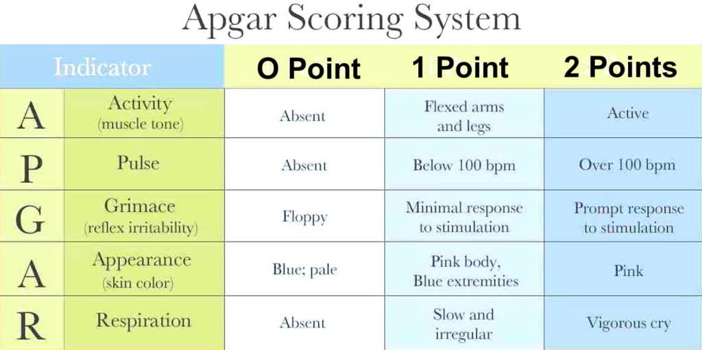 apgar score of 7