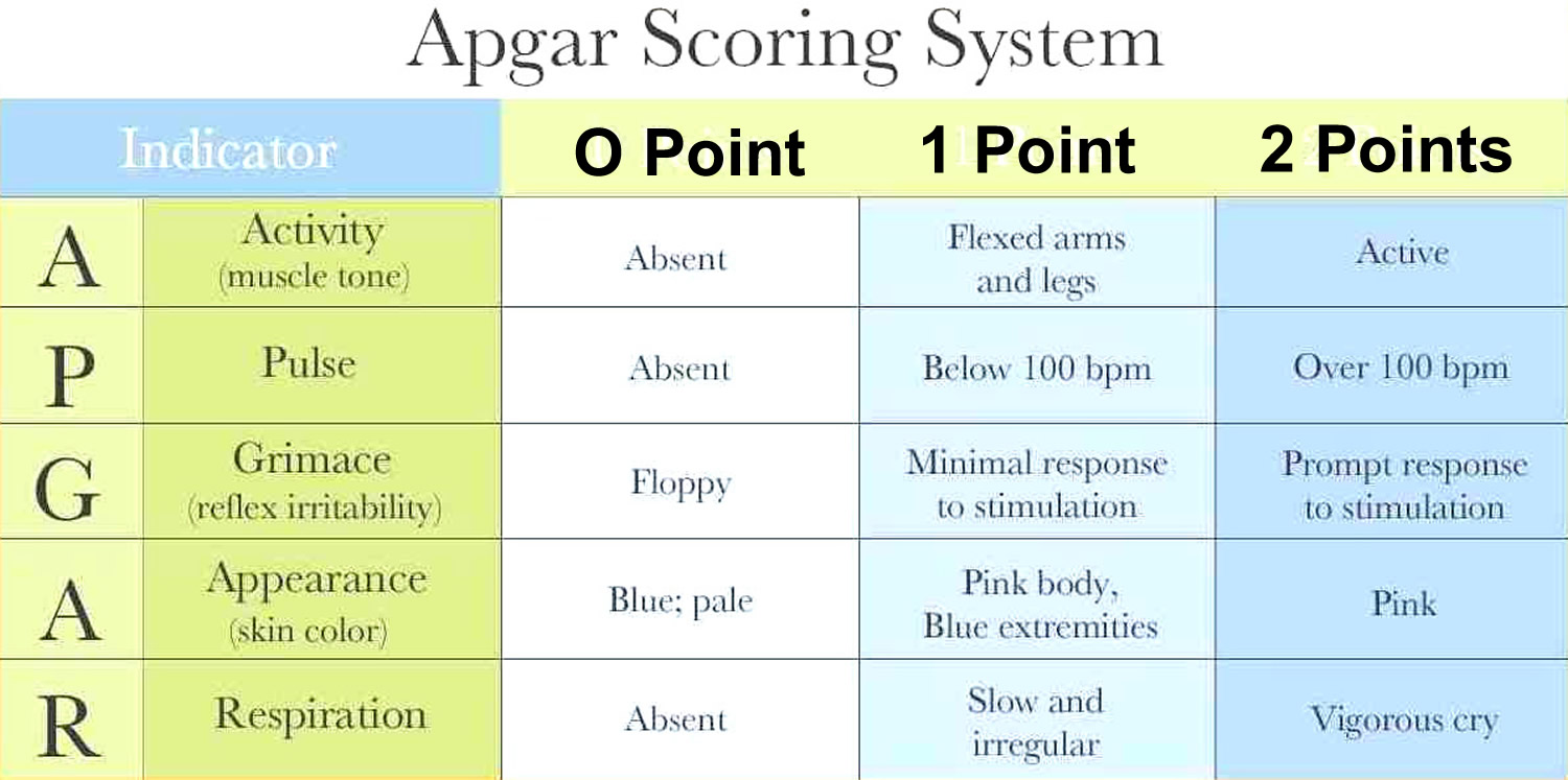 apgar score normal