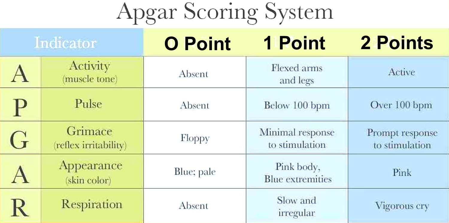 apgar score baby