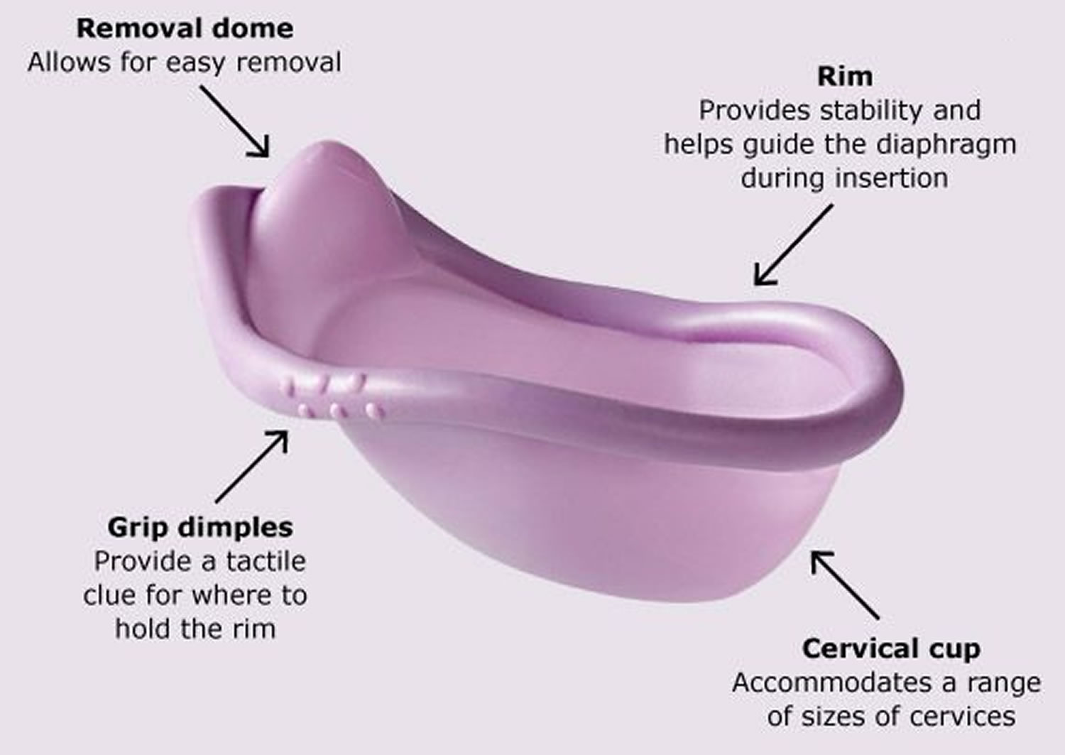 diaphragm birth control diaphragm birth control