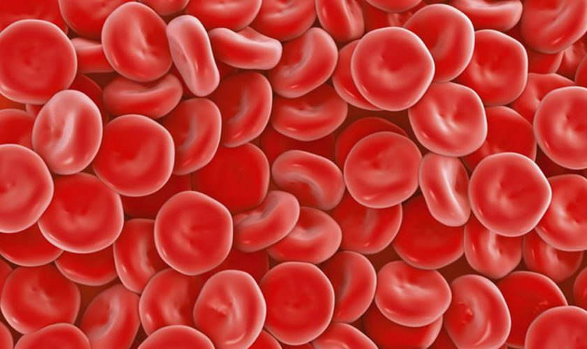red blood cell count