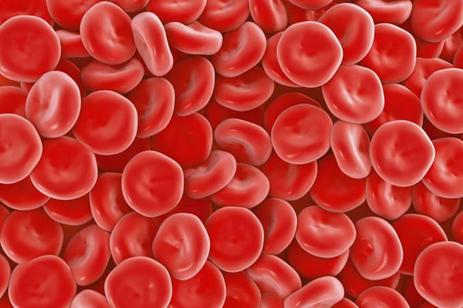 Red Blood Cell Count High Low Red Blood Cell Count