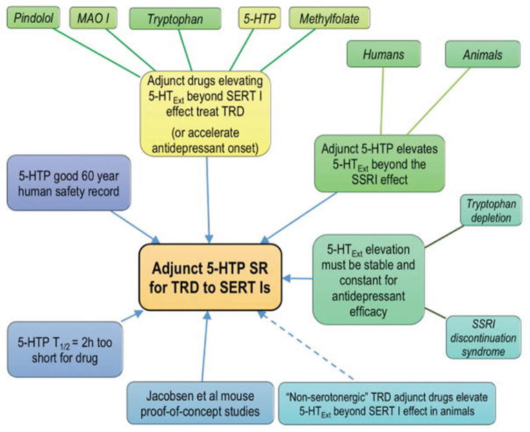 HTP 5HTP HTP Supplement and Side Effects