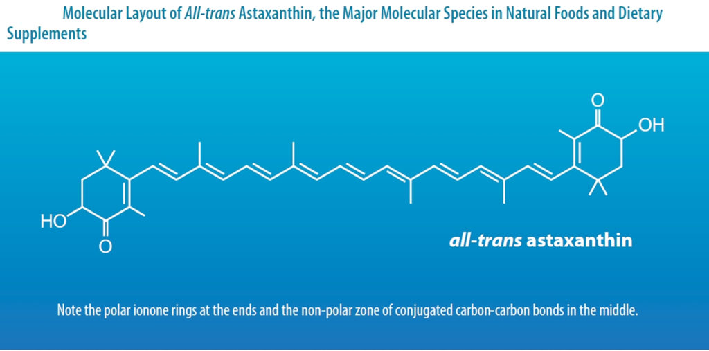 Astaxanthin Health Benefits, Dosage, Side Effects